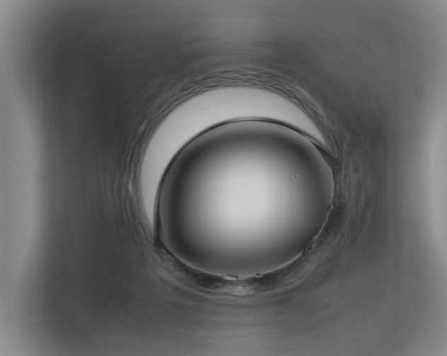 X0000112730217200908201333