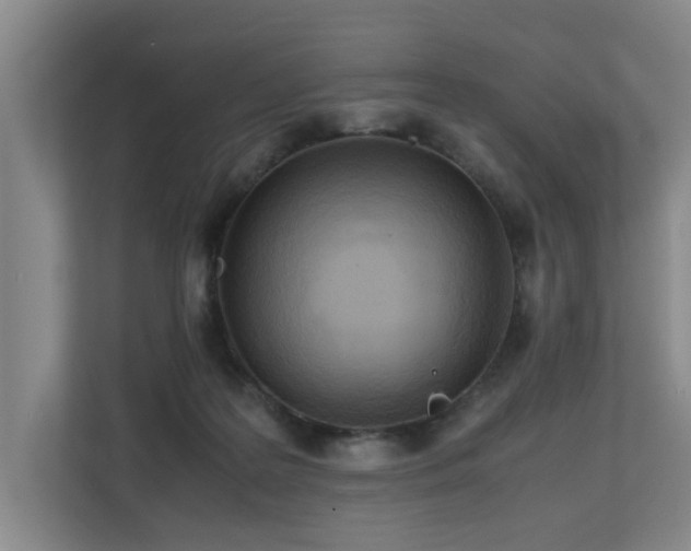 X0000112730219200908201333