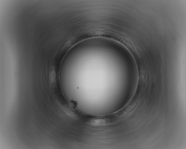 X0000112730220200908201333