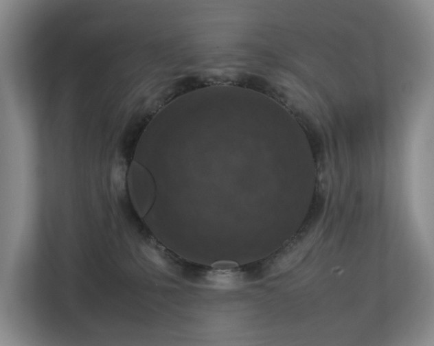 X0000112730231200908201332