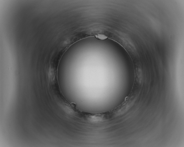 X0000112730232200908201332