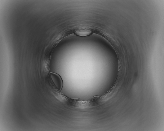 X0000112730240200908201332