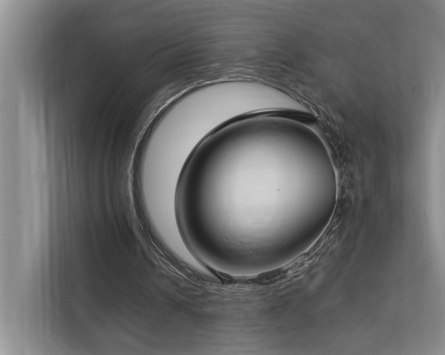 X0000112730242200908201332