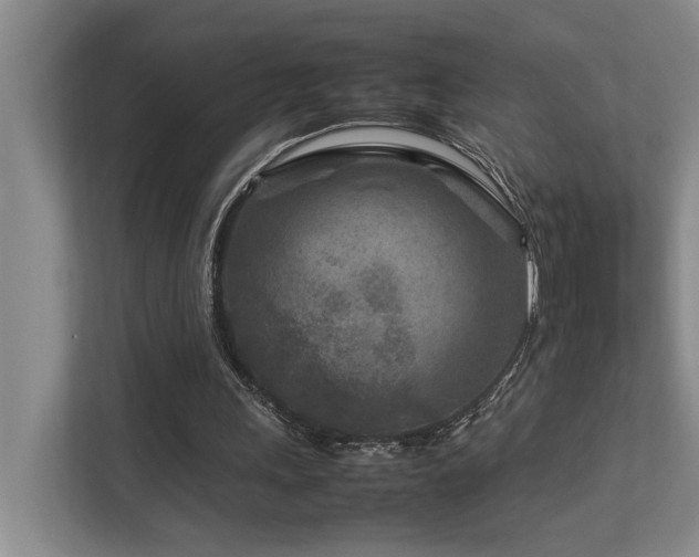 X0000112730243200908201332