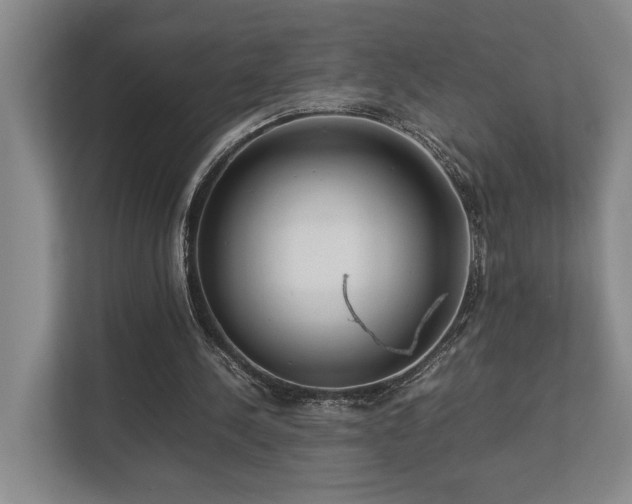 X0000112730244200908201332