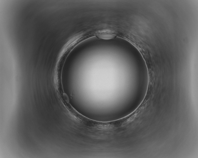 X0000112730245200908201332