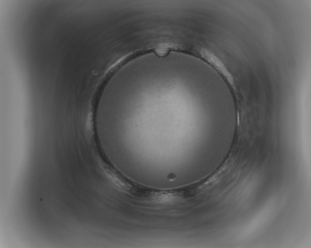 X0000112730249200908201332