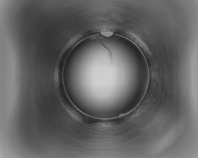 X0000112730250200908201332