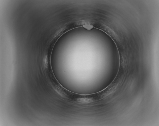 X0000112730251200908201332