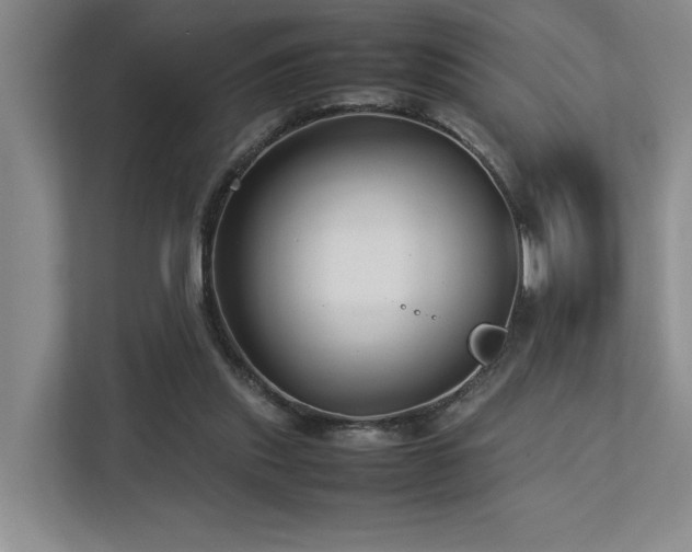 X0000112730253200908201332