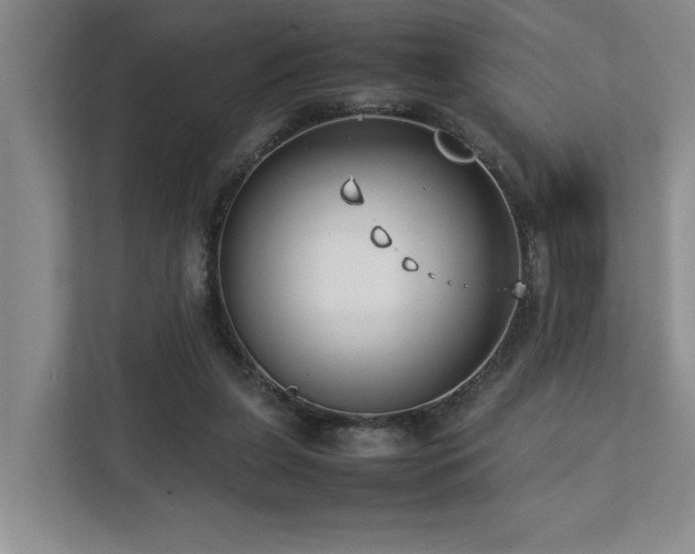 X0000112730255200908201332