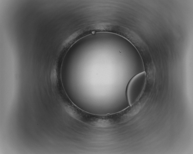 X0000112730256200908201332