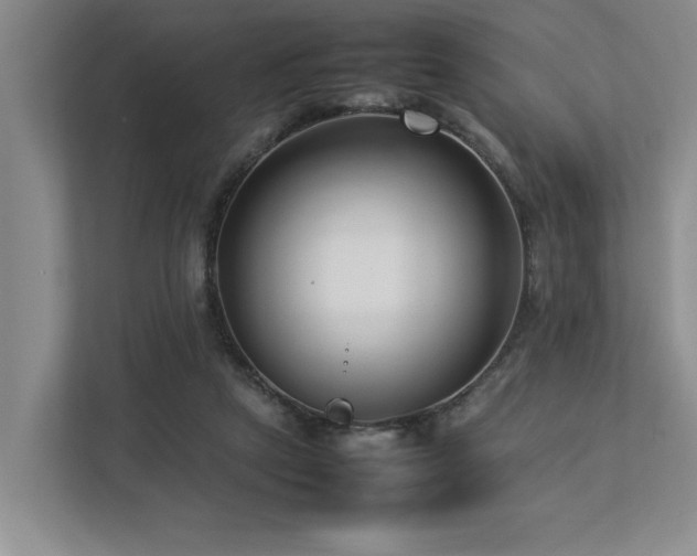 X0000112730257200908201332