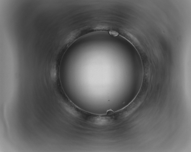 X0000112730261200908201332