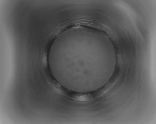 X0000112730267200908201332