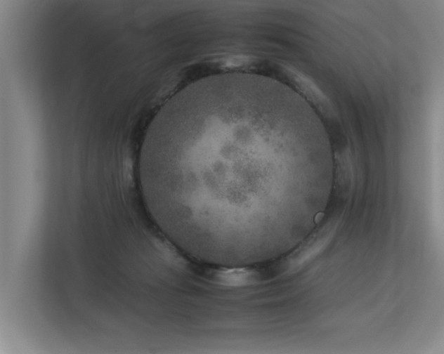 X0000112730269200908201332