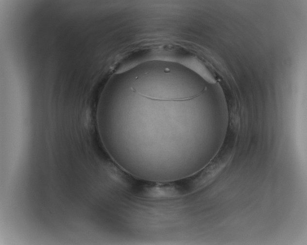 X0000112730270200908201332