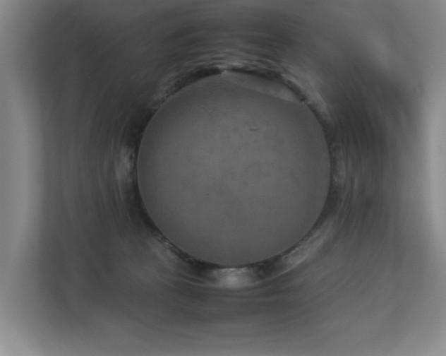 X0000112730273200908201332