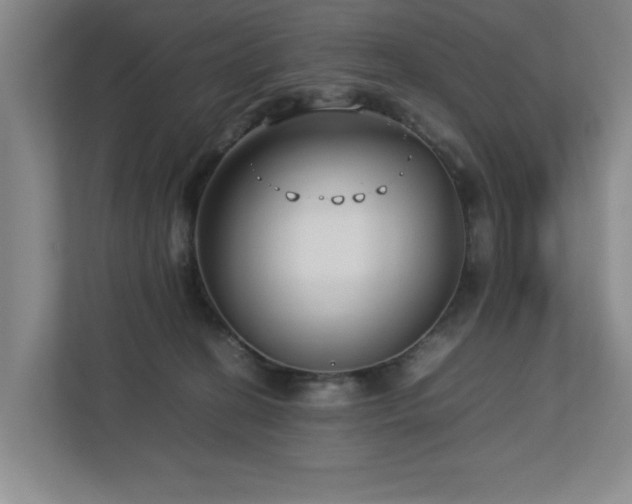 X0000112730274200908201332