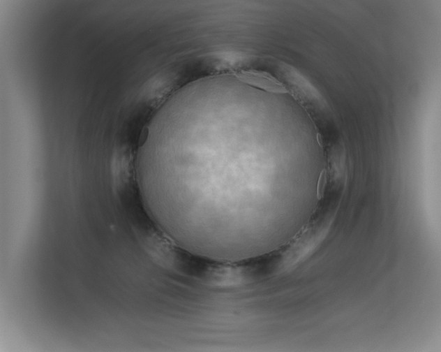 X0000112730276200908201332