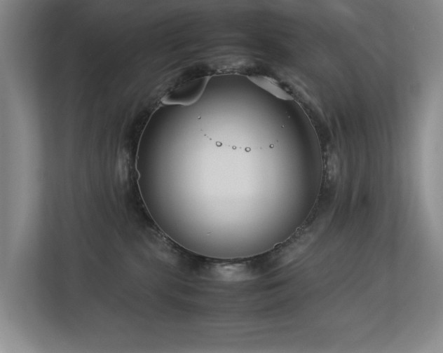 X0000112730283200908201332