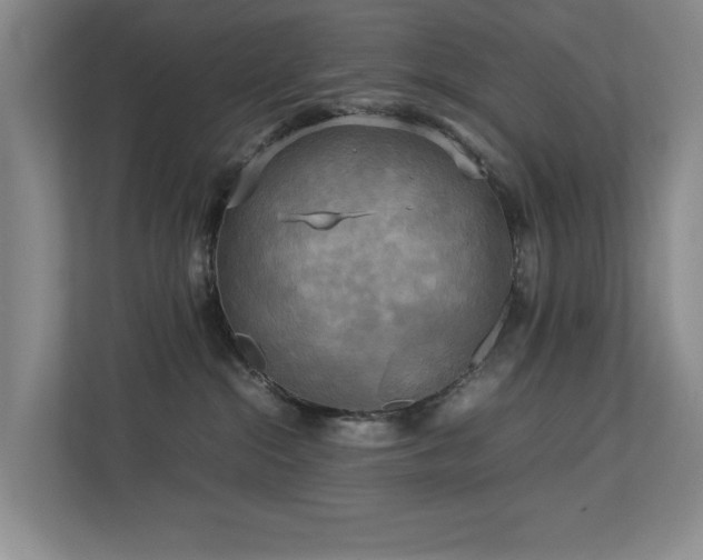 X0000112730284200908201332