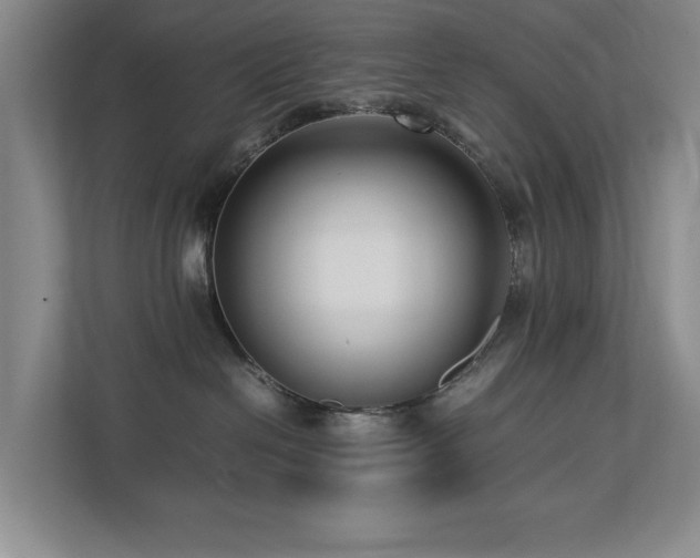 X0000112730286200908201332