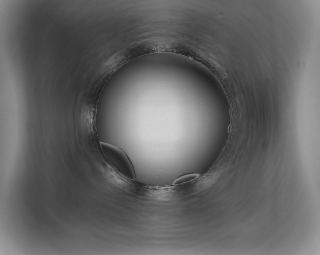 X0000112730288200908201332