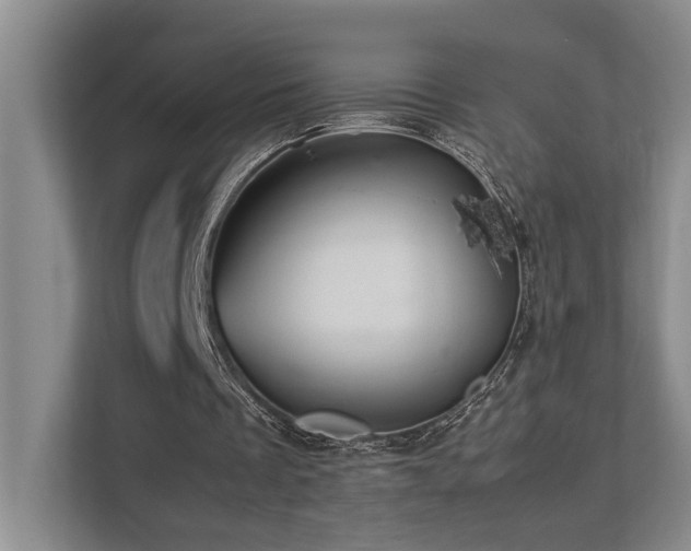 X0000112730289200908201332