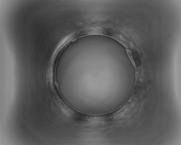 X0000112730293200908201332