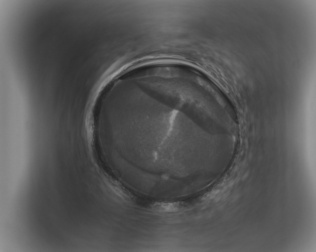 X0000112730295200908201332