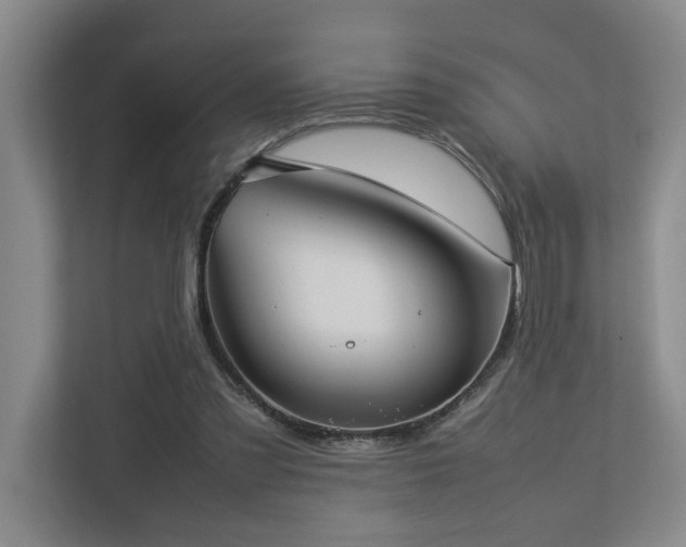 X0000112730301200908201331