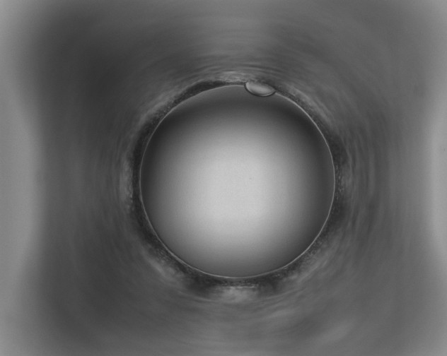 X0000112730303200908201331