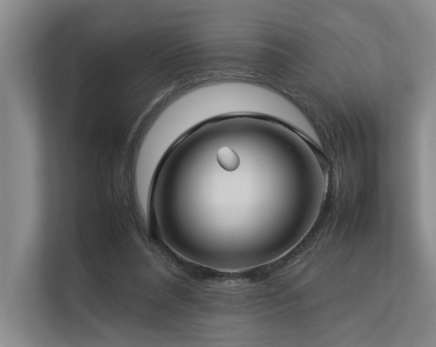 X0000112730304200908201331