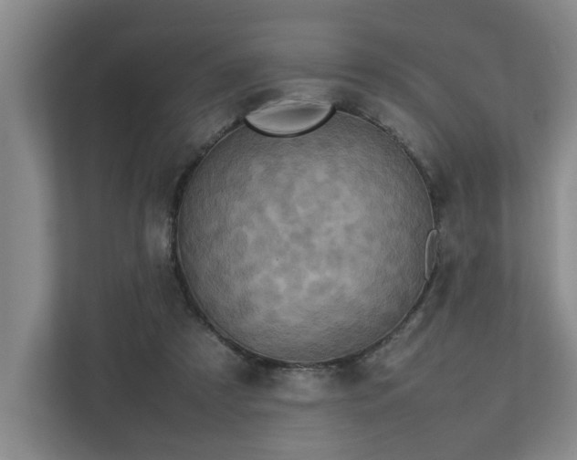 X0000112730305200908201331