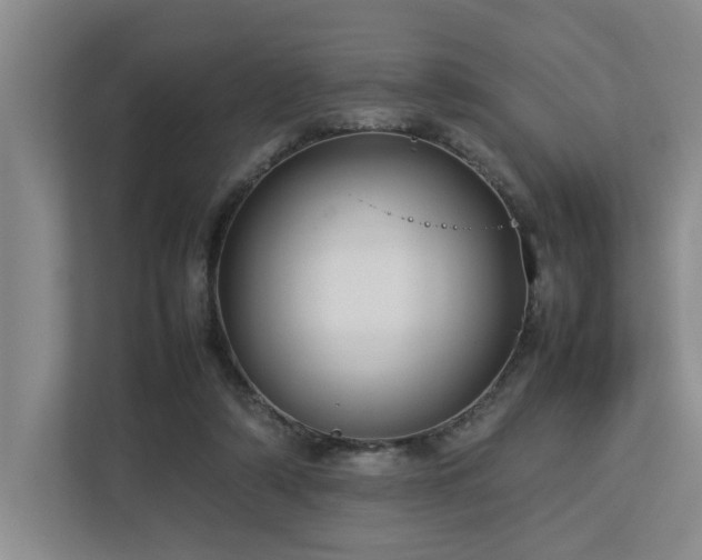 X0000112730306200908201331