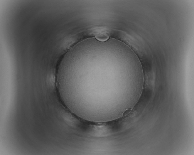 X0000112730309200908201331