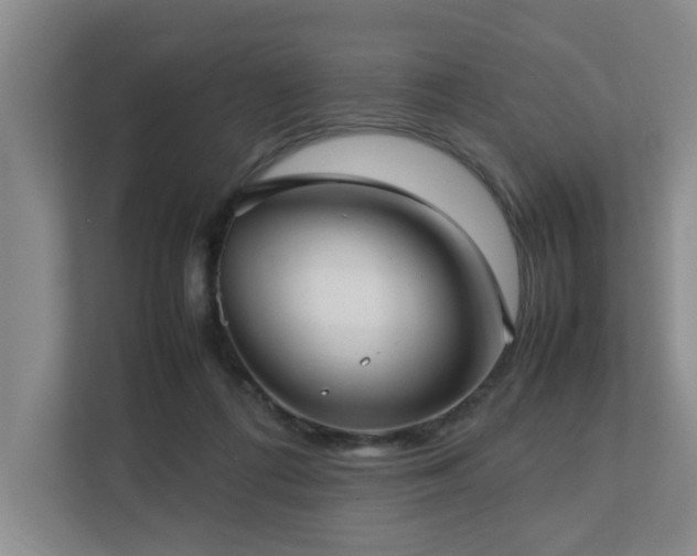 X0000112730312200908201331