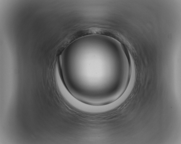 X0000112730313200908201331