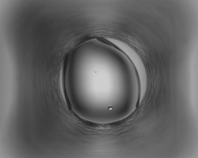 X0000112730317200908201331