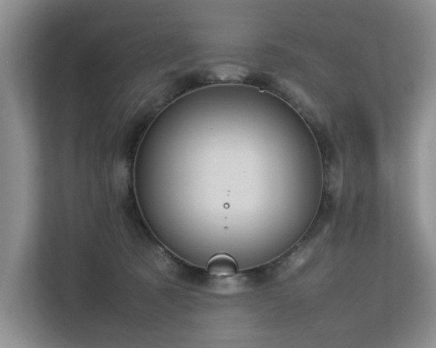 X0000112730321200908201331