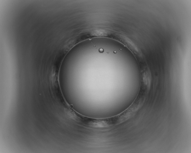 X0000112730322200908201331