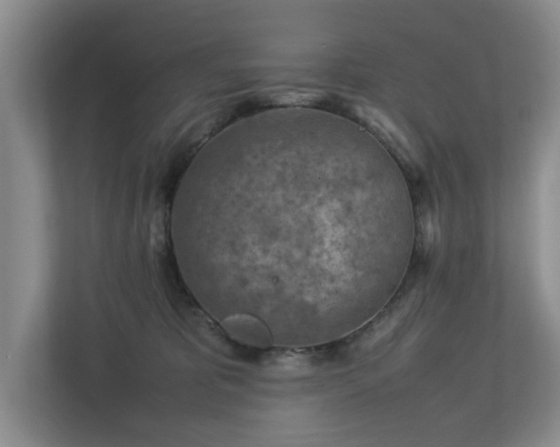 X0000112730325200908201331