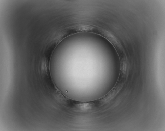 X0000112730326200908201331