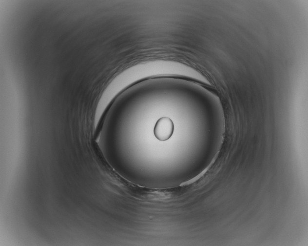 X0000112730328200908201331