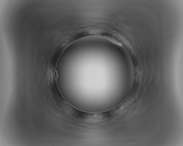 X0000112730329200908201331