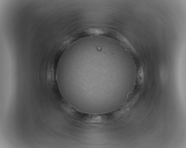 X0000112730330200908201331