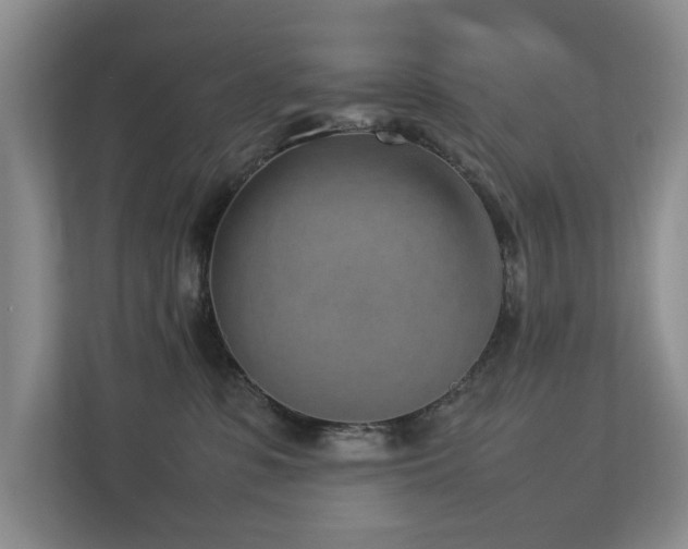 X0000112730331200908201331