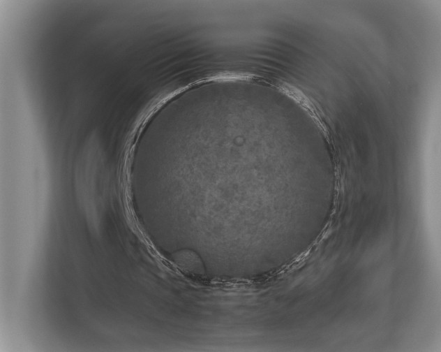 X0000112730337200908201330