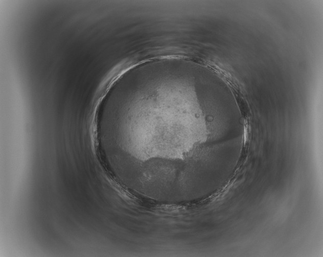 X0000112730339200908201330